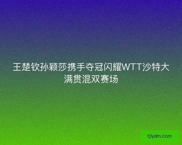王楚钦孙颖莎携手夺冠闪耀WTT沙特大满贯混双赛场